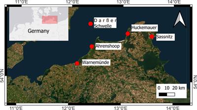 Long-term shoreline changes at large spatial scales at the Baltic Sea: remote-sensing based assessment and potential drivers